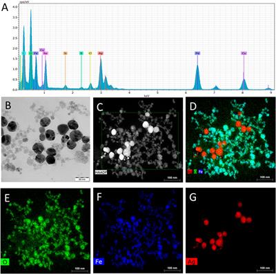 Label-Free Determination of PSA and Free PSA Using MA-SERS